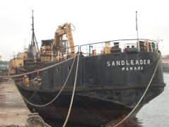 Sandleader at the breakers in Panama (2007)