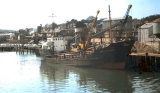 Sand finch (before 1970 Ron Woolaway) - aggregate dredger