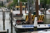 The Theodurus in Dordrecht (NL), on the 15ht of May, 2010